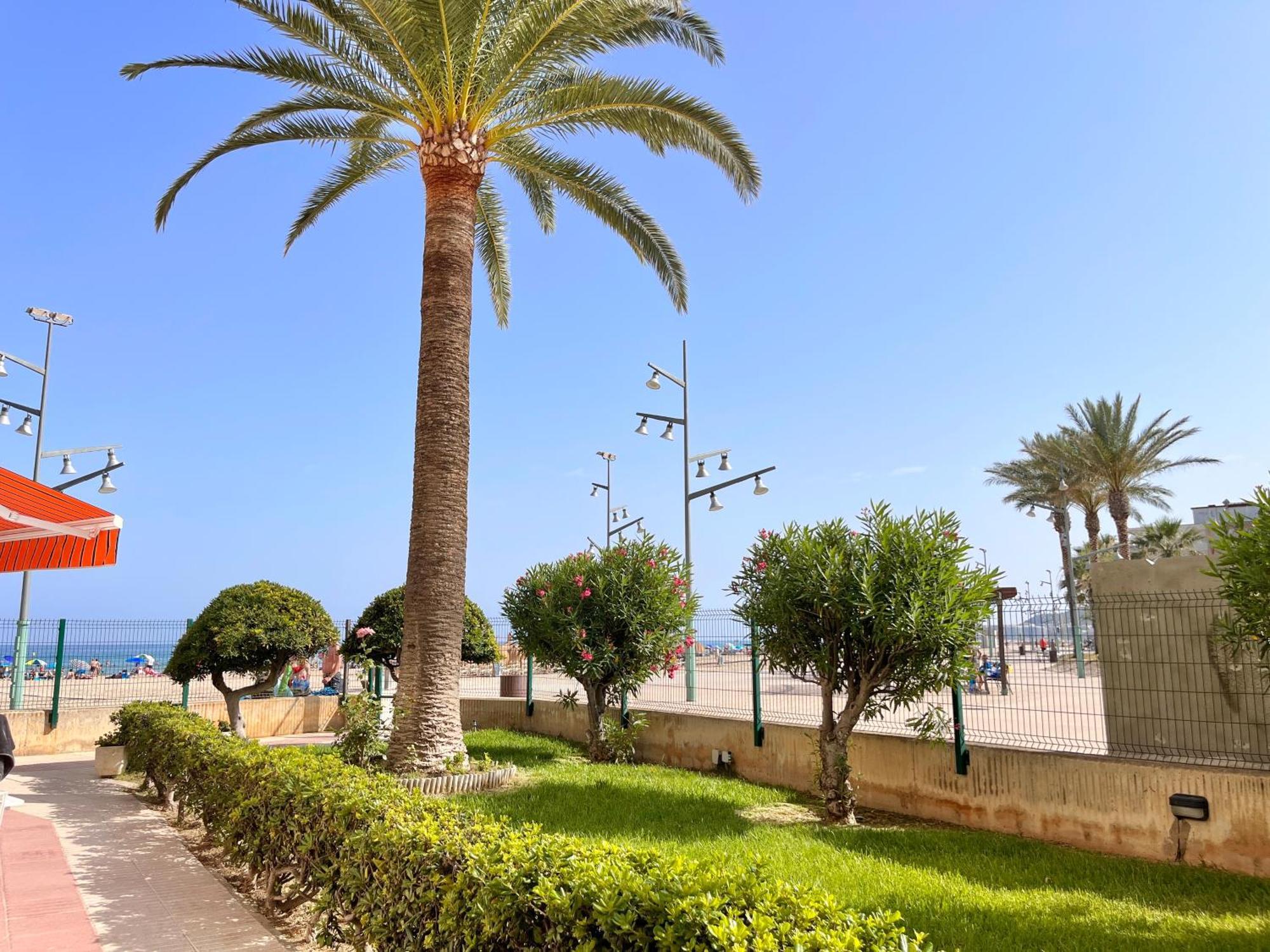 Mediterranean Way - Paradis Playa Apartman La Pineda Kültér fotó